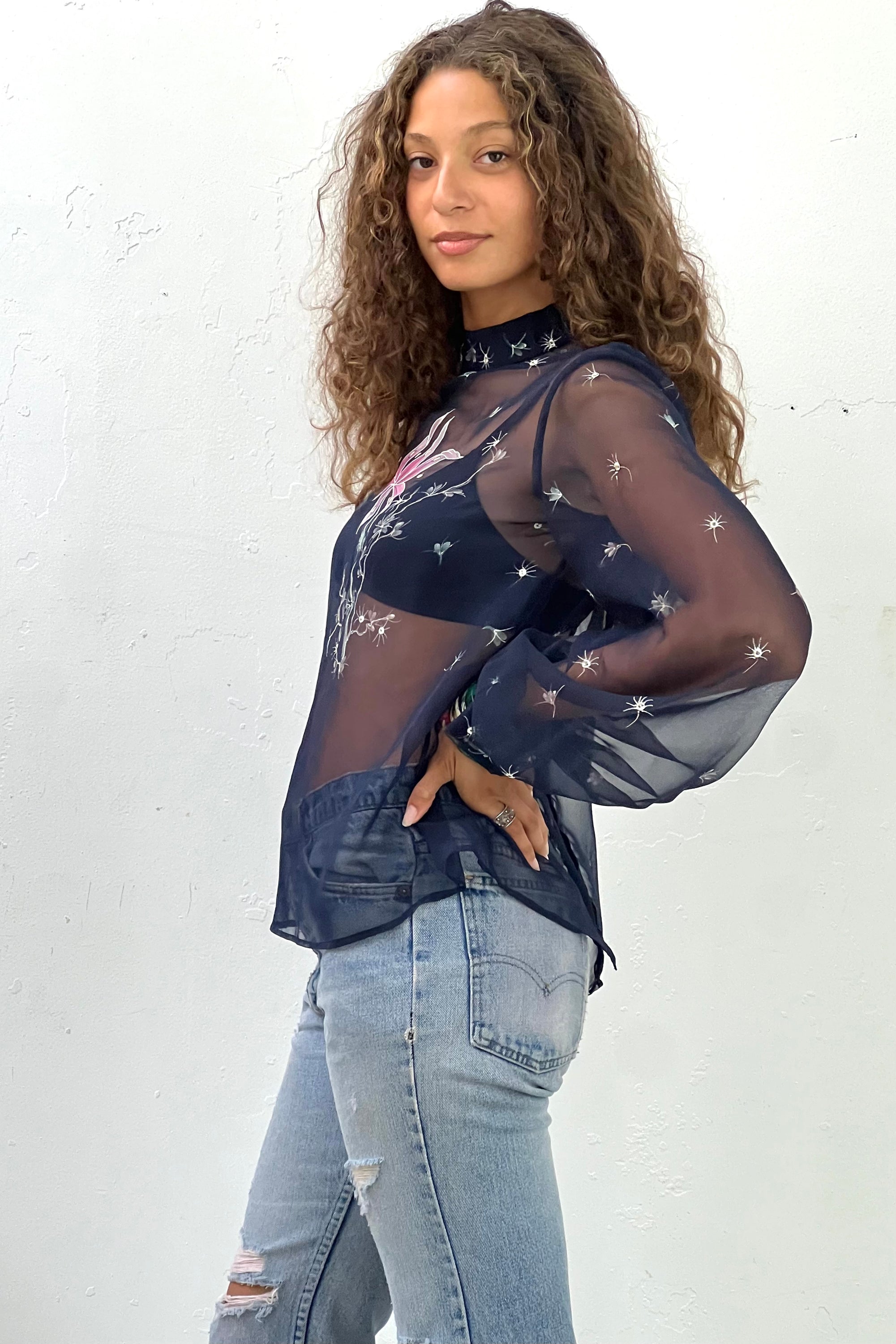 Vintage Hand Painted Sheer Blouse Selected by Anna Corinna